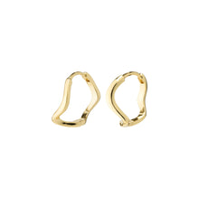 Laden Sie das Bild in den Galerie-Viewer, PILGRIM Alberte Hoop Earrings